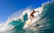 开云体育入口-从雄鹿碾压公牛到小贾伦总决赛封神，当团队基石蜕变为时代主宰