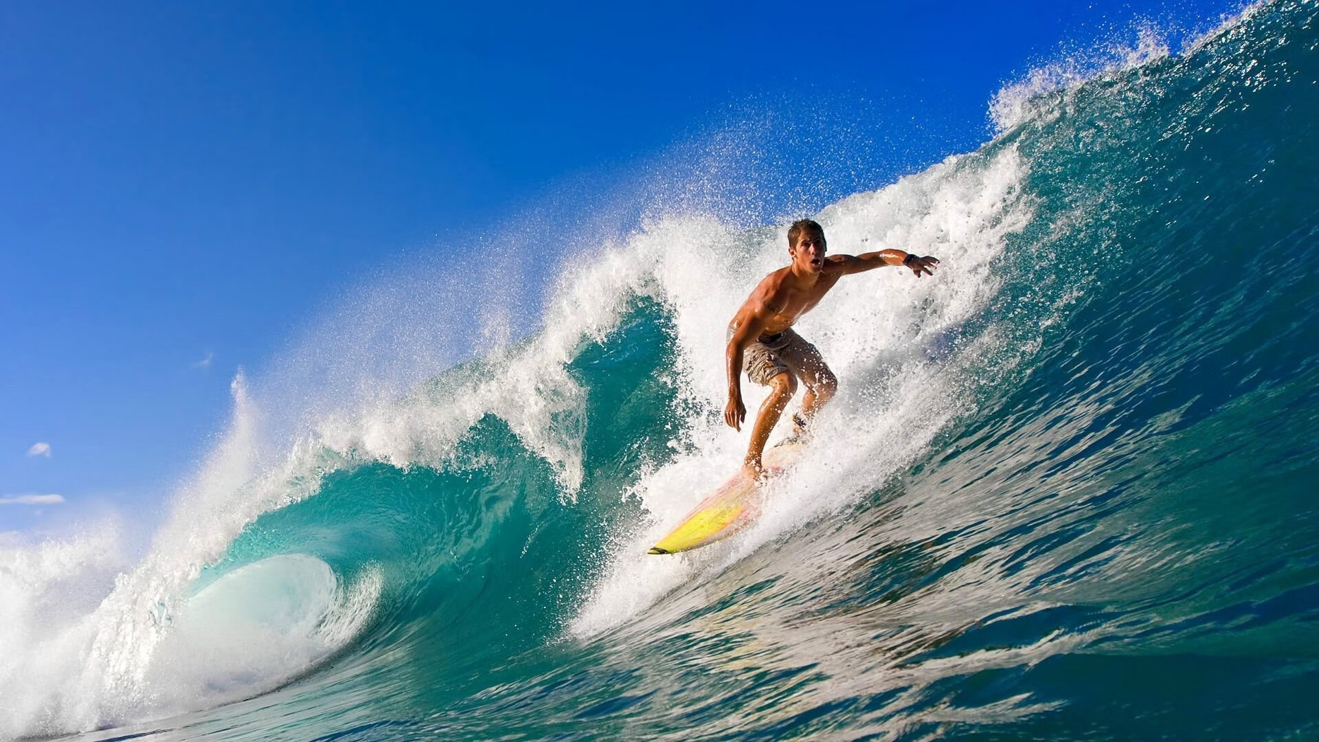 上海风暴席卷广厦，莫兰特式无解表现诠释何为完全体